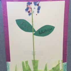 AAWA Nowruz Event with new refugee families 2015