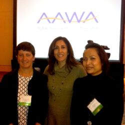 AAWA 2013